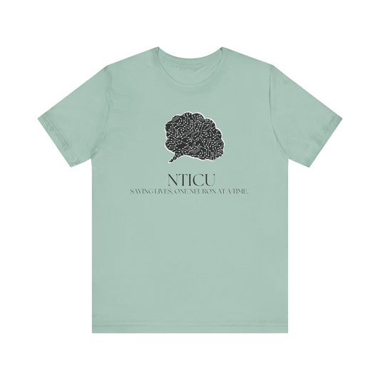 NTICU  One neuron at a time